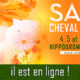 Salon_Cheval_et_Bien_Etre_2019