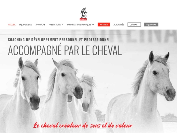 Site-vitrine-ekireina