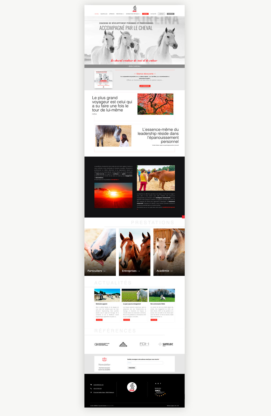 Ekireina equicoaching - site web